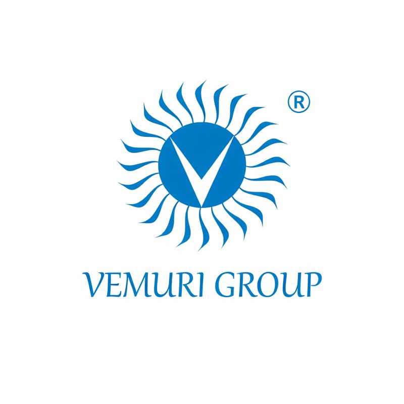 Vemuri Financial Services Logo